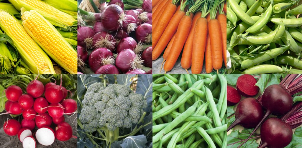 Vegetable Seeds Pack SelfSufficiency Bulk Staples x8 Australian